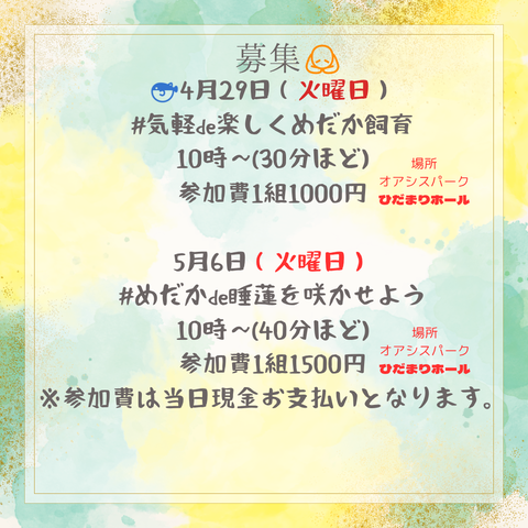 b07f7e82-s.png