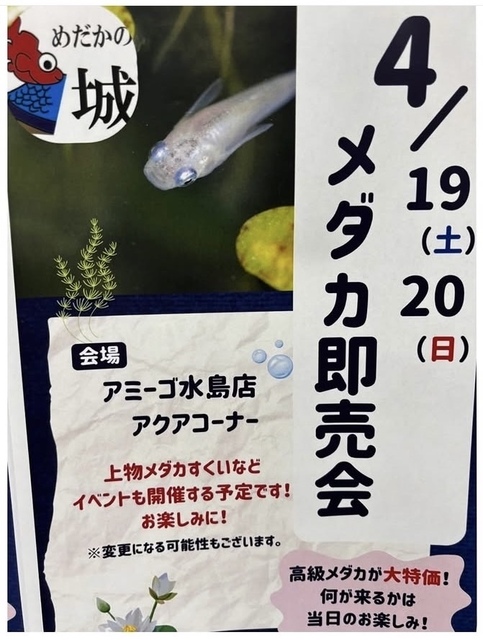 image0.jpeg