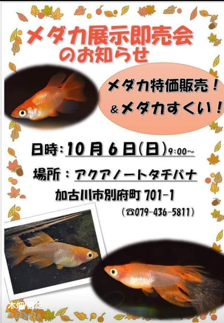 o0752108014604548678.jpg