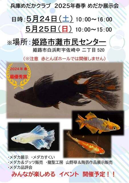 o0763108015578192986.jpg